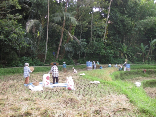 f0195286_32306.jpg