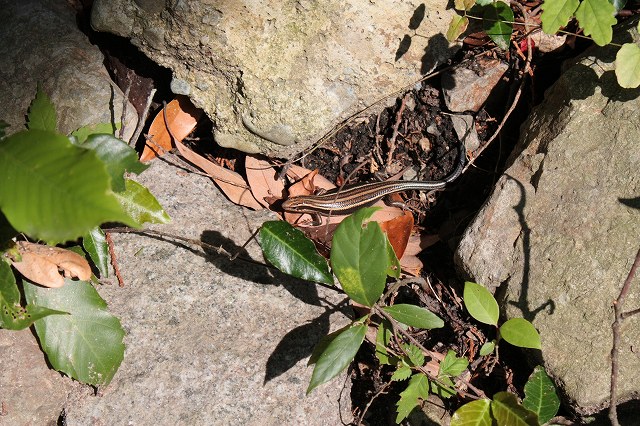 c0196588_23451821.jpg