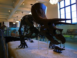 a0003089_1015085.jpg
