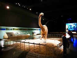 a0003089_10151952.jpg