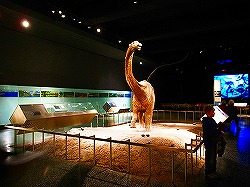 a0003089_10154525.jpg