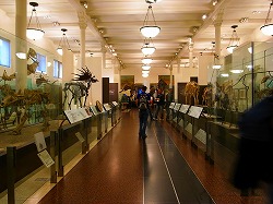 a0003089_1015977.jpg