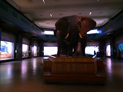 a0003089_1016726.jpg