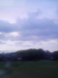 c0016991_19135338.jpg