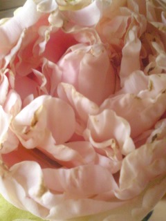 c0095492_23513229.jpg