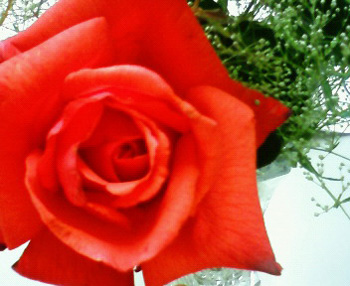 b0078597_204816.jpg