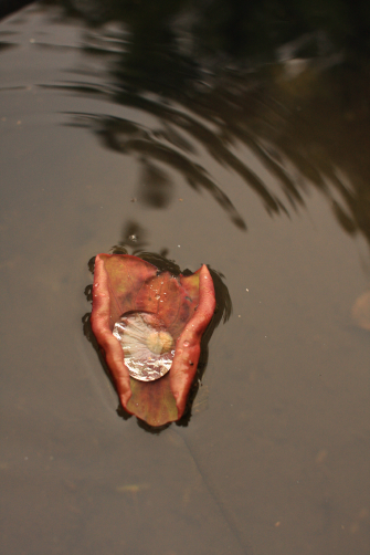 c0084097_781914.jpg