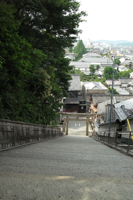 f0103797_10345656.jpg