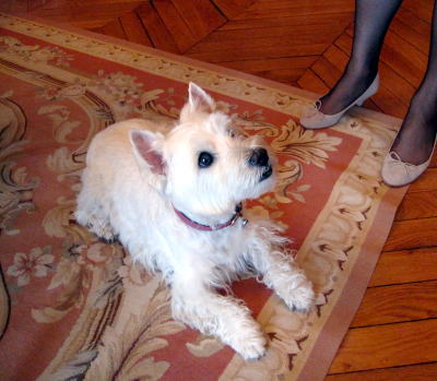 c0090198_4185482.jpg