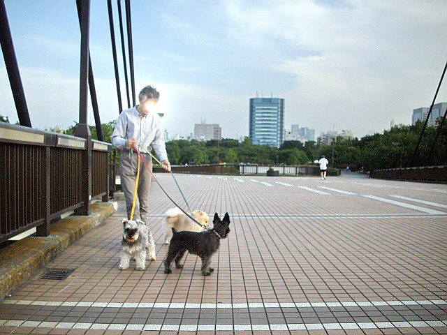 c0138198_16105878.jpg