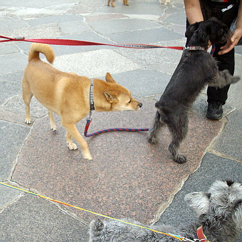 c0138198_1625692.jpg