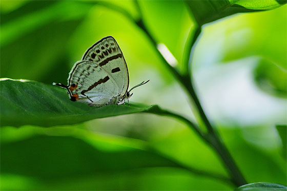 d0001300_22155563.jpg