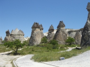 b0128101_14284225.jpg