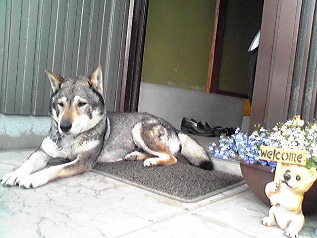 f0079202_942718.jpg