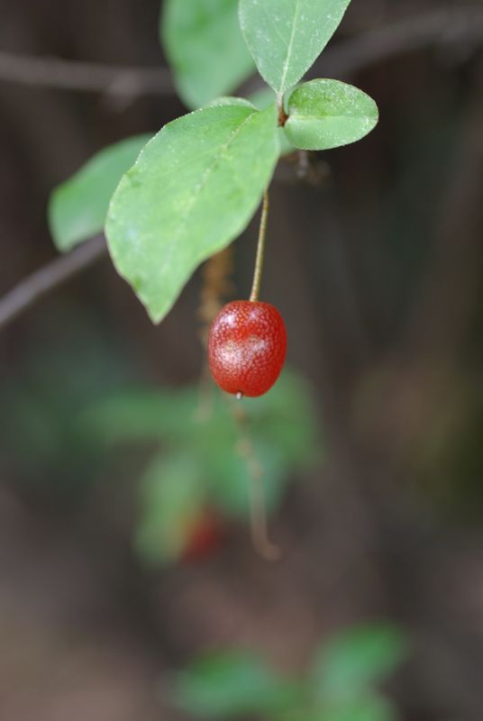 c0187503_17303664.jpg