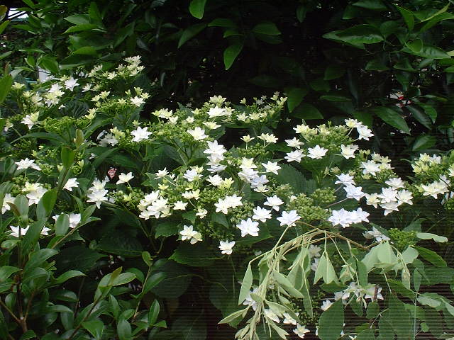 f0173908_16143363.jpg