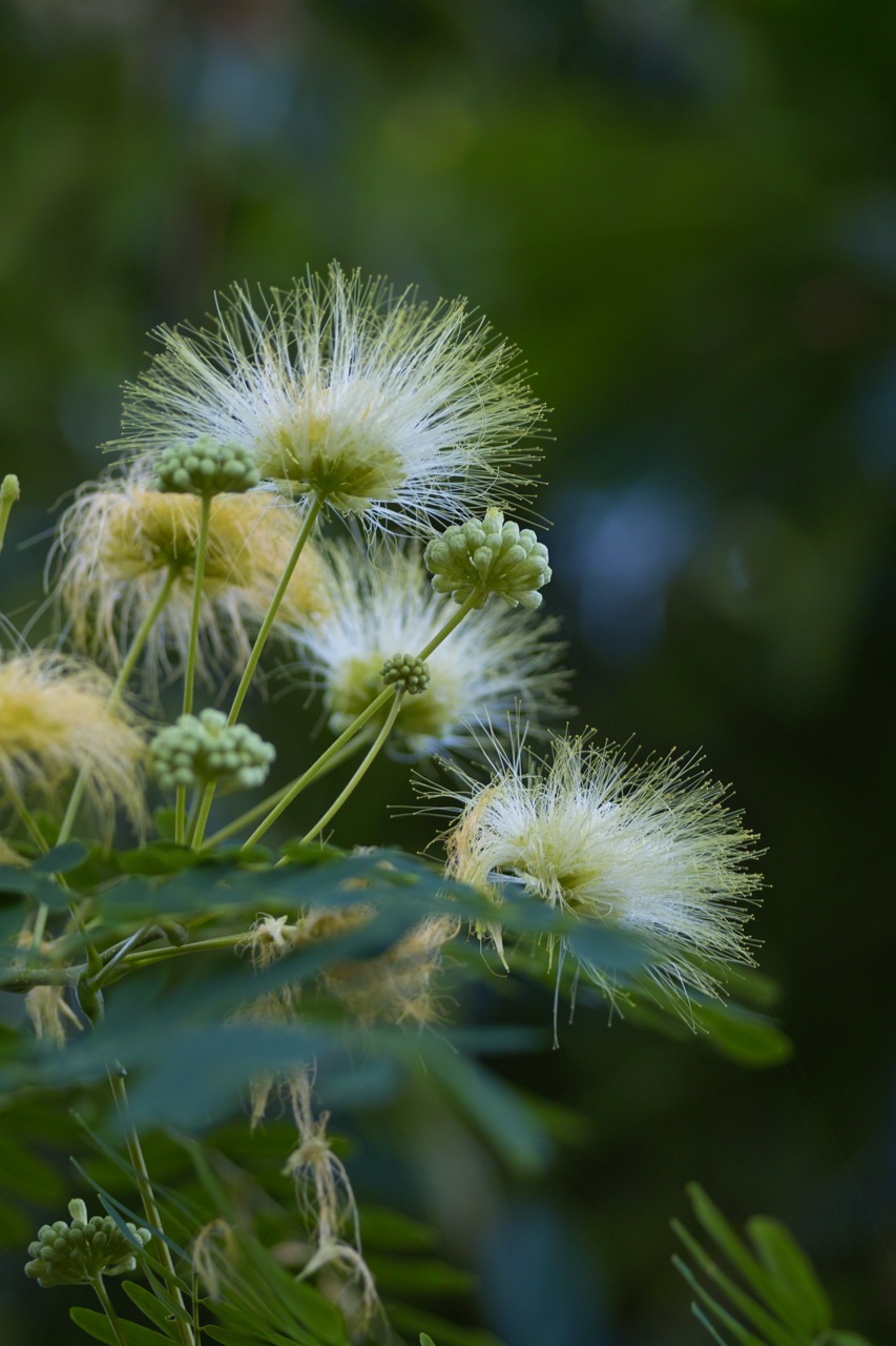 b0137311_23132574.jpg