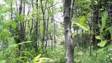 f0031420_14582667.jpg