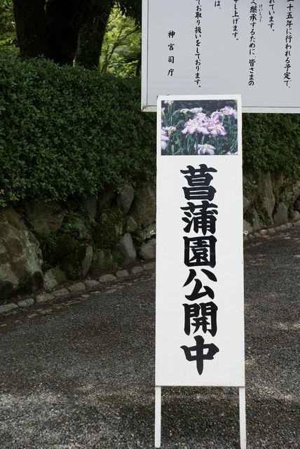 c0124021_17361329.jpg