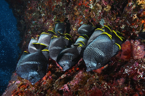 f0206424_012243.jpg