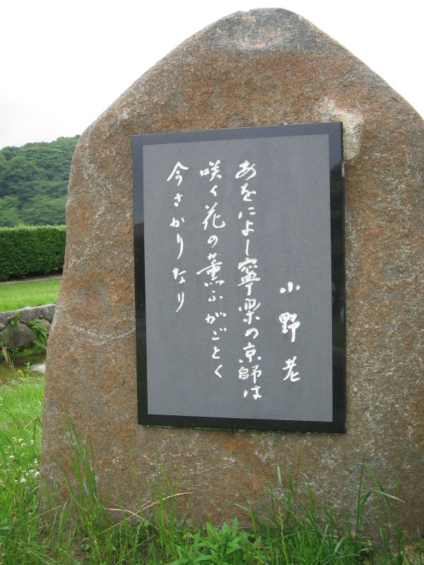 e0164326_2233481.jpg