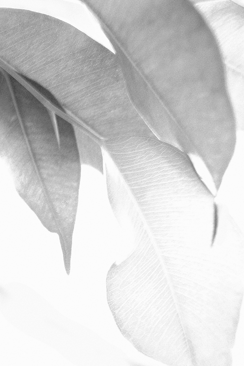 c0198227_9322093.jpg