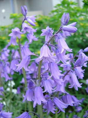 f0205733_23112646.jpg