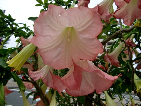 b0012636_15253742.jpg