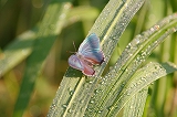b0047738_10233737.jpg