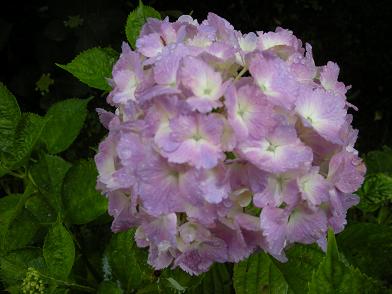 b0024439_9134083.jpg