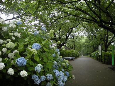 b0024439_972827.jpg