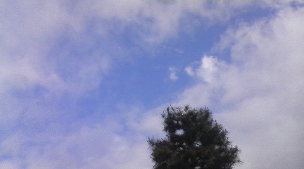 d0023742_18292545.jpg