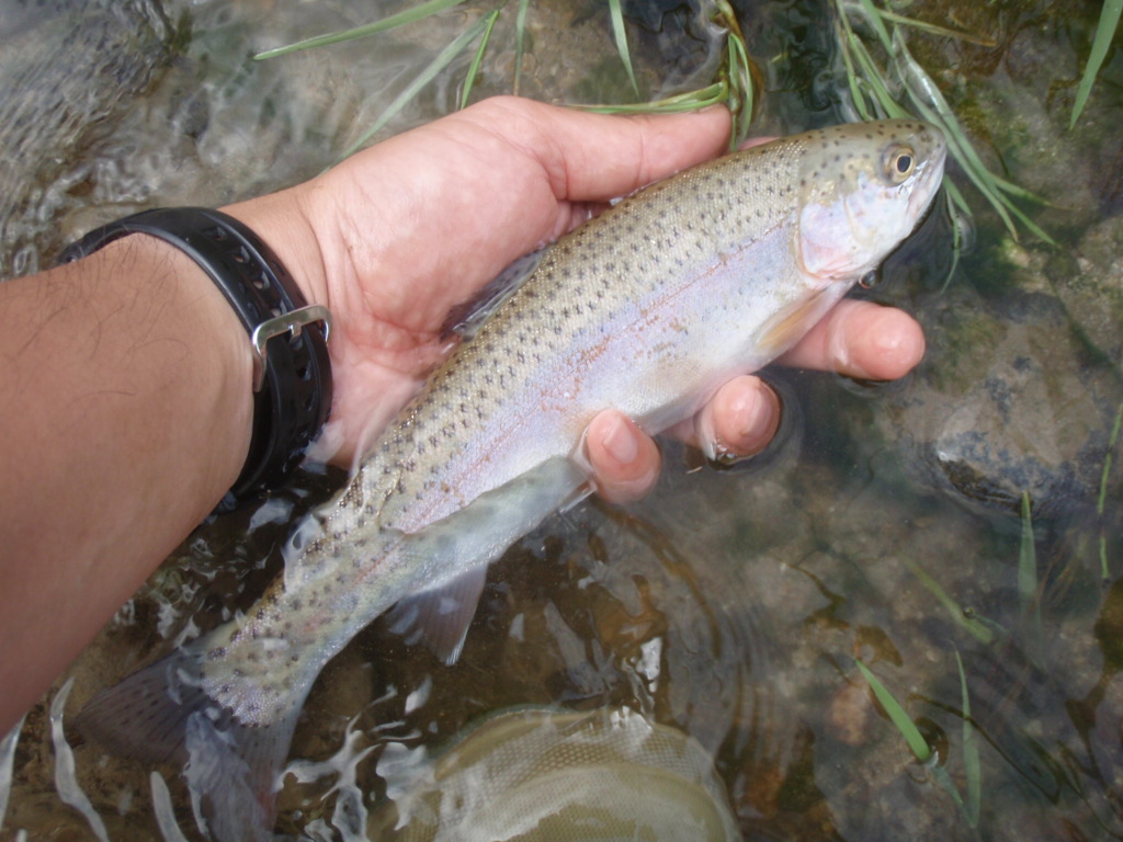 d0083145_2231547.jpg