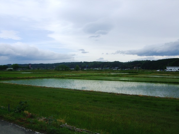 d0023346_161232.jpg