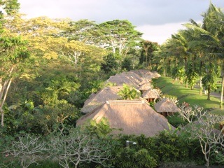 b0025850_014572.jpg