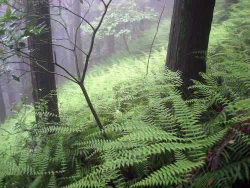 c0179351_2044417.jpg