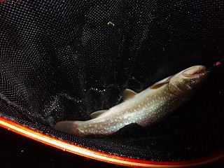 c0097652_2002512.jpg
