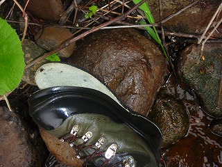 c0097652_20145151.jpg