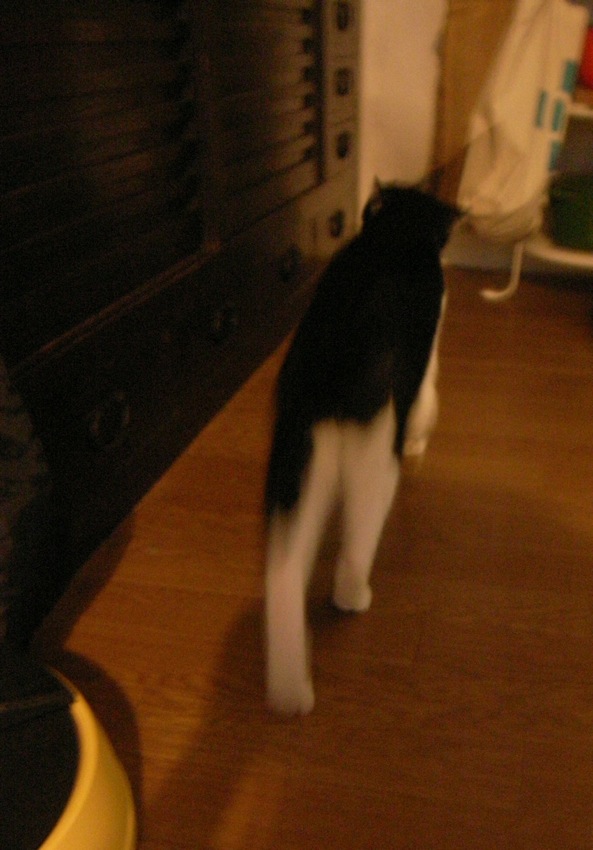 c0138553_02418.jpg