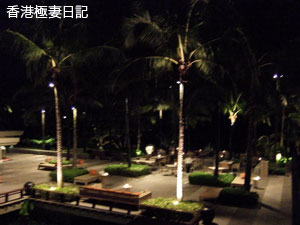 f0190653_1052135.jpg