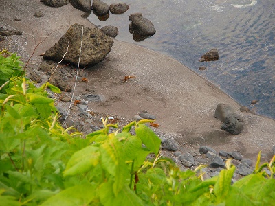 e0004756_21425742.jpg