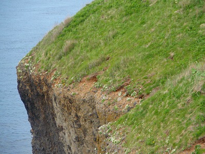 e0004756_21443031.jpg