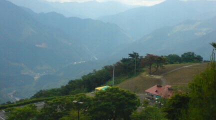 d0000459_21283192.jpg