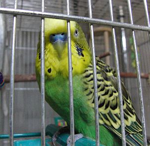 f0196665_04276.jpg