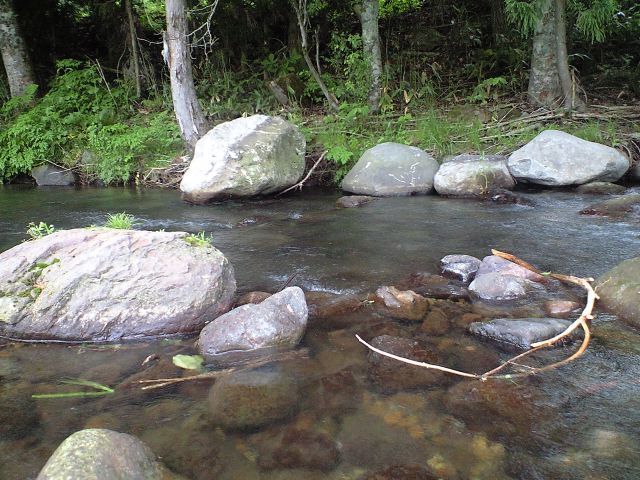 a0093677_1631937.jpg