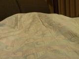 c0062682_15365837.jpg