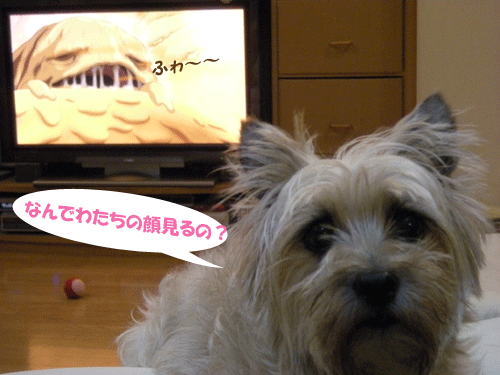 e0066883_21385811.gif