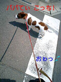 e0121589_2155863.jpg