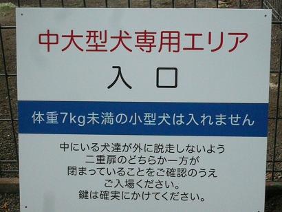 c0123890_20501646.jpg