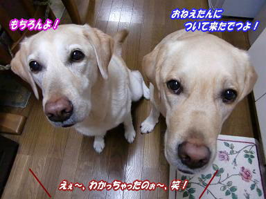 c0028792_2292351.jpg